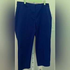 Talbots ankle pants.